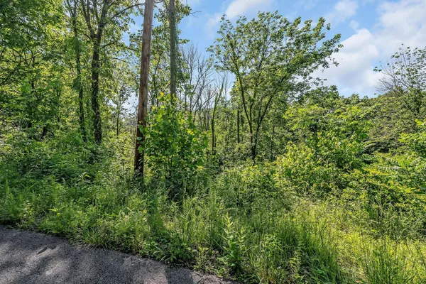 $62,500 | 0 Harbor Pointe Drive, Silver Point, TN 38582