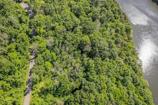 a view of a green field with lots of bushes