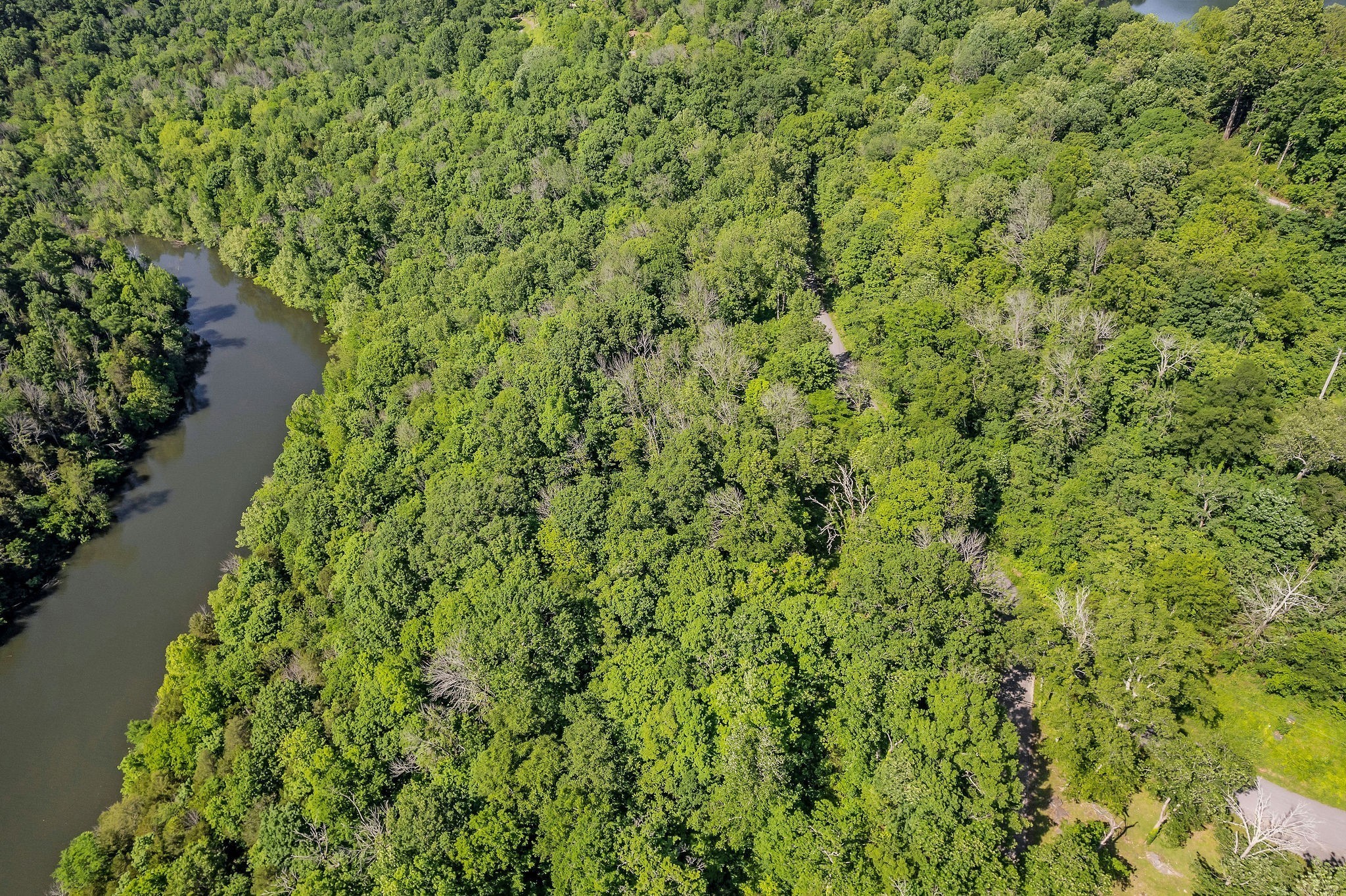 0 Harbor Pointe Drive Silver Point, TN 38582 - Photo 14 of 26 a view of a garden with a lake