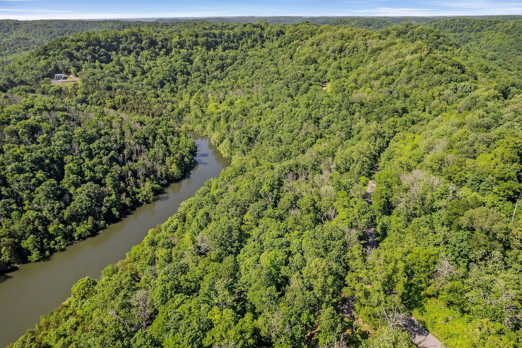 0 Harbor Pointe Drive Silver Point, TN 38582 - Photo 16 of 26 a view of a garden