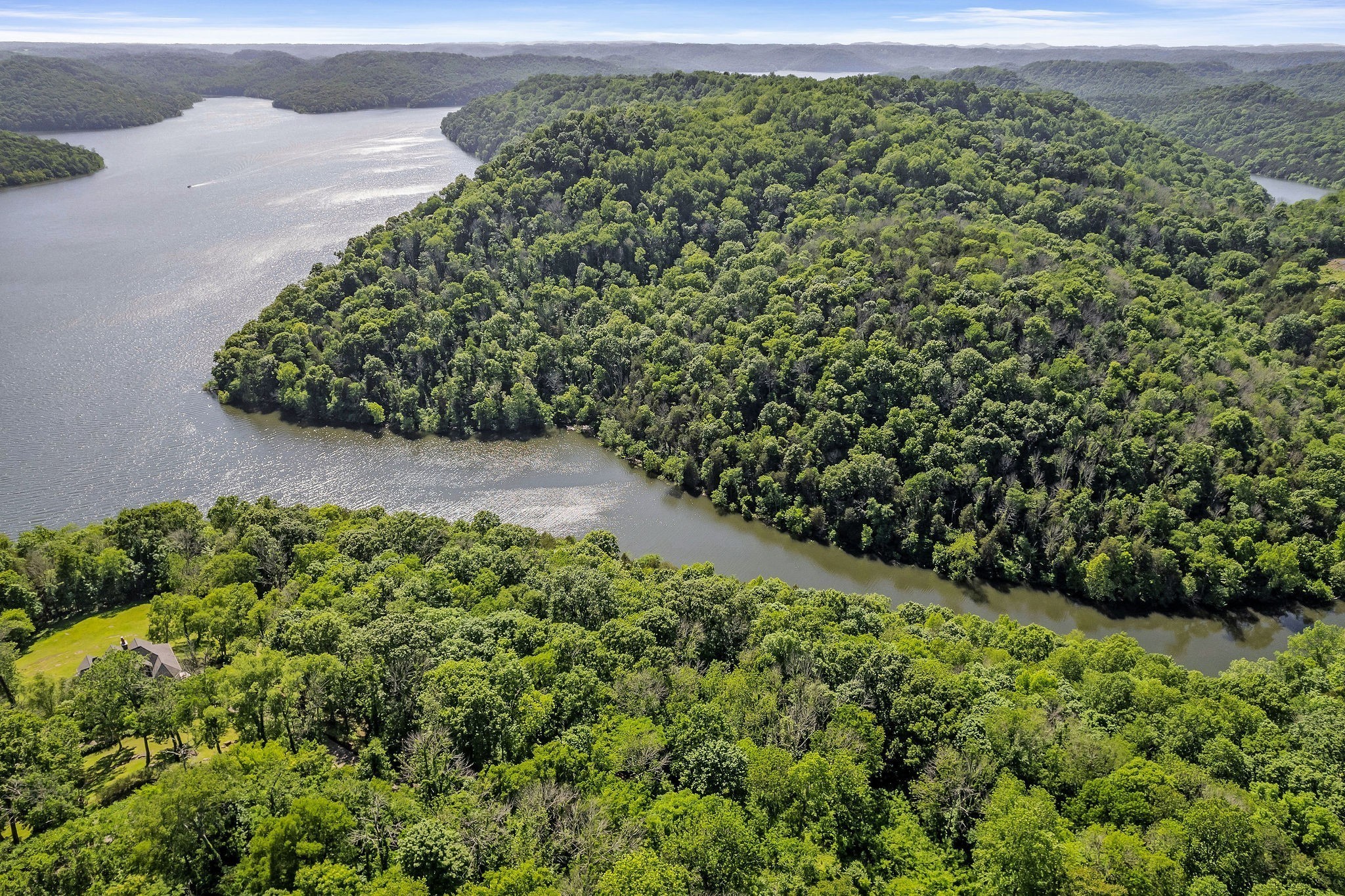 0 Harbor Pointe Drive Silver Point, TN 38582 - Photo 17 of 26 a view of a garden with a plant