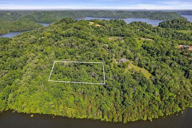 a view of a yard with an outdoor space
