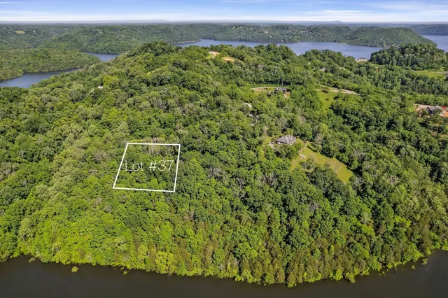 a view of a garden with a lake