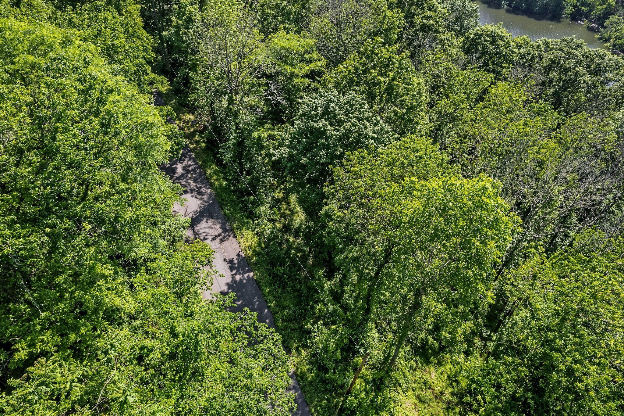 0 Harbor Pointe Drive Silver Point, TN 38582 - Photo 25 of 26