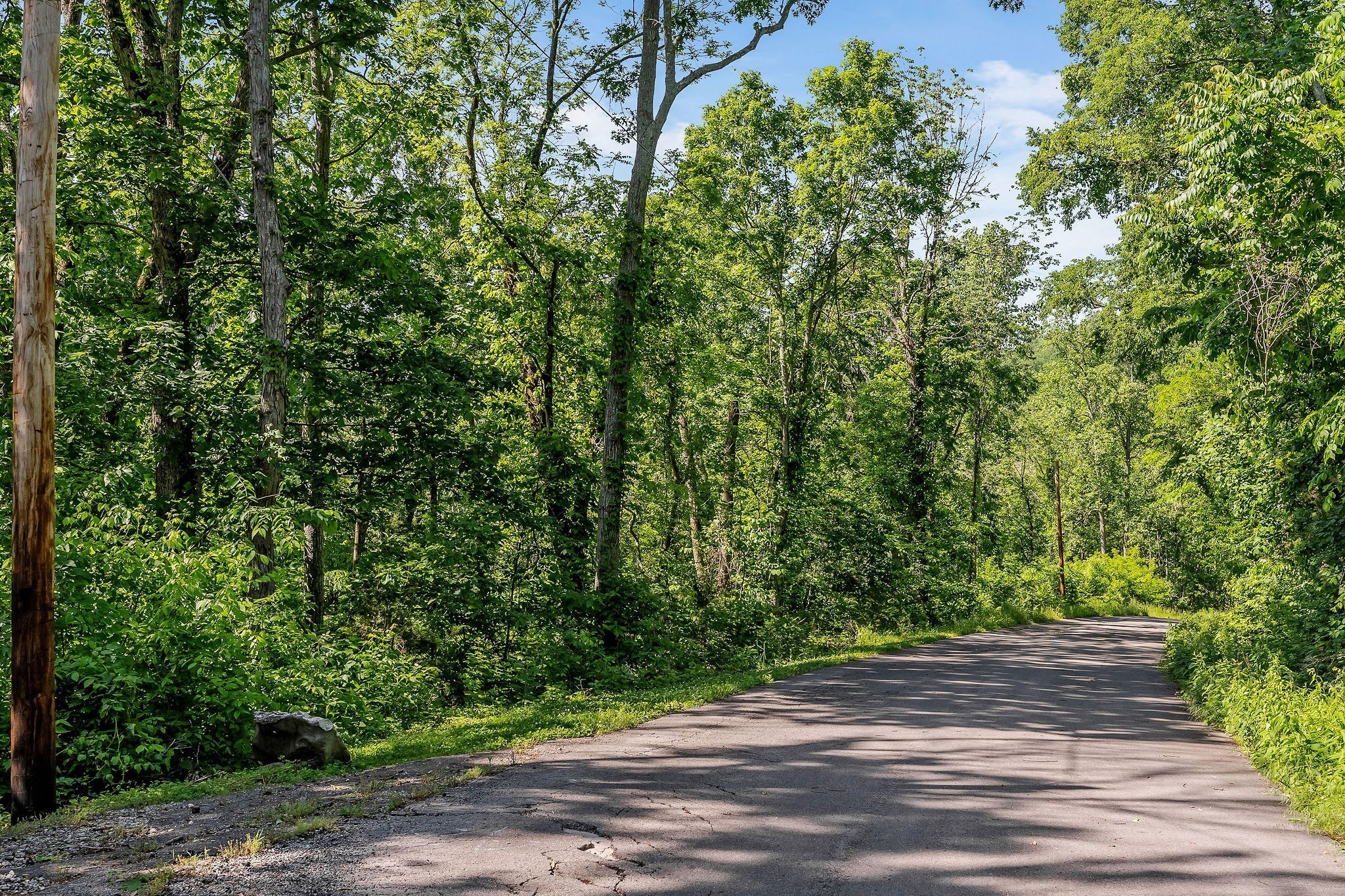 0 Harbor Pointe Drive Silver Point, TN 38582 - Photo 26 of 26 a view of a yard