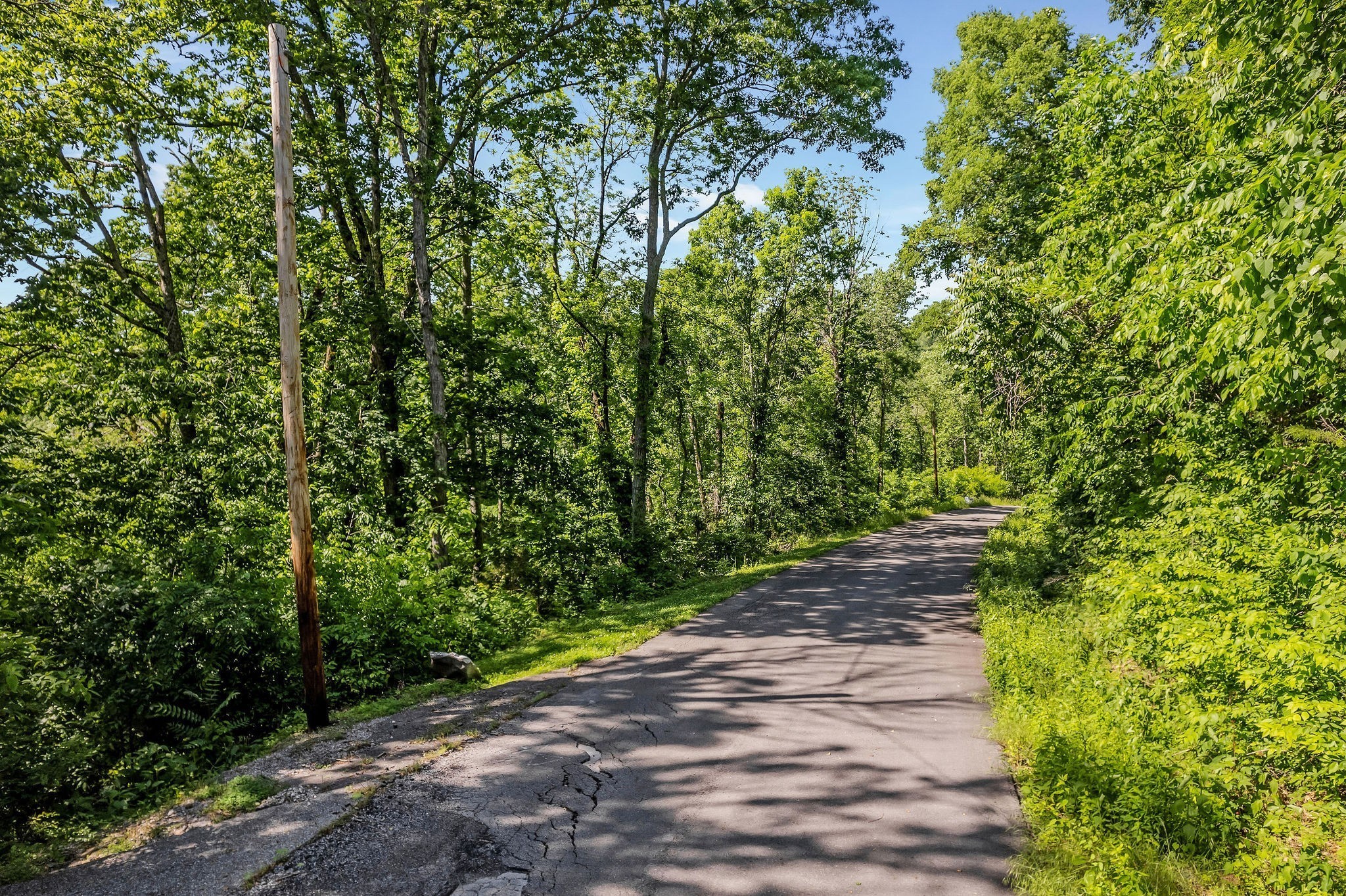 0 Harbor Pointe Drive Silver Point, TN 38582 - Photo 3 of 26 a view of a pathway both side of yard