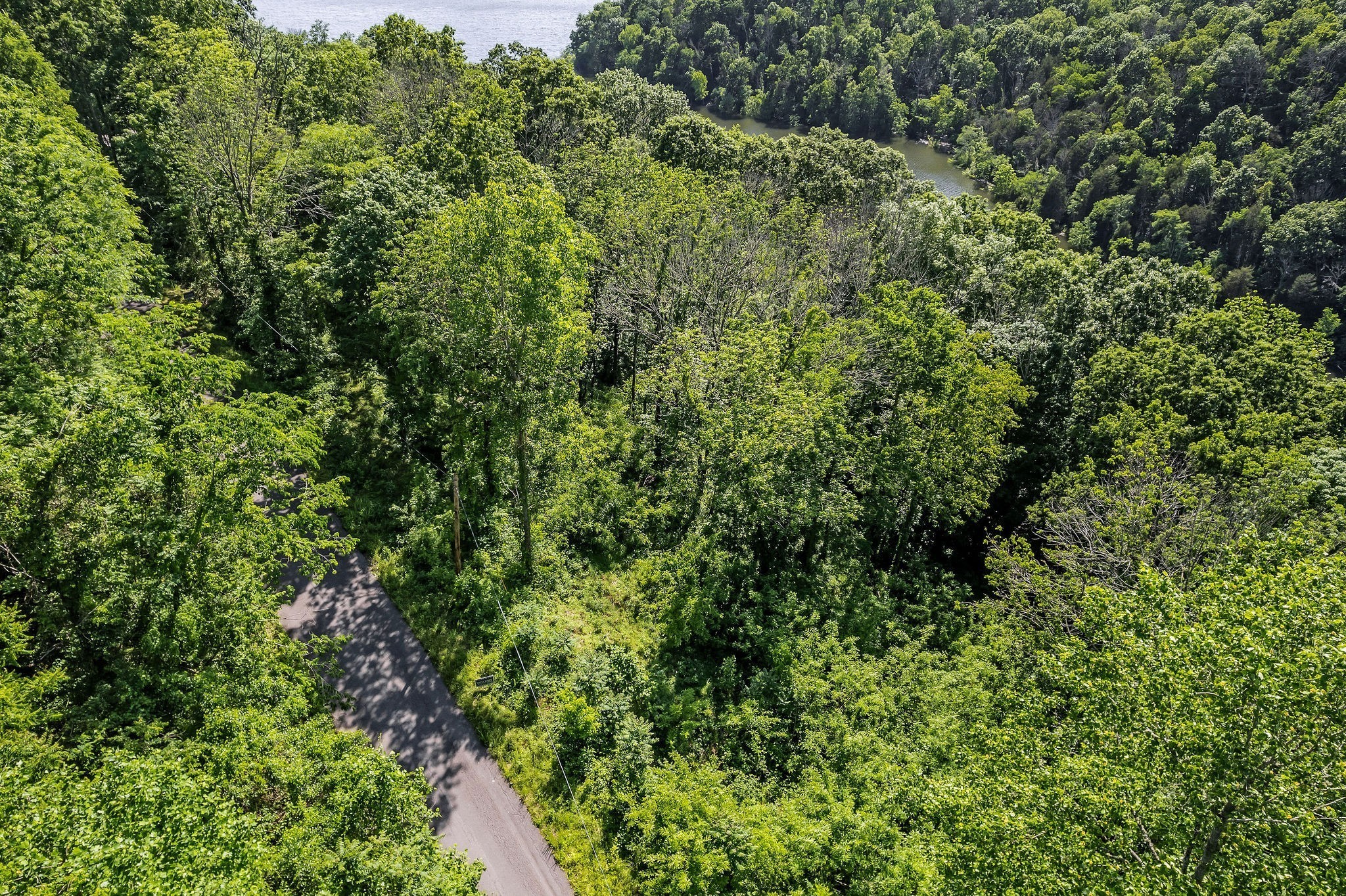 0 Harbor Pointe Drive Silver Point, TN 38582 - Photo 5 of 26