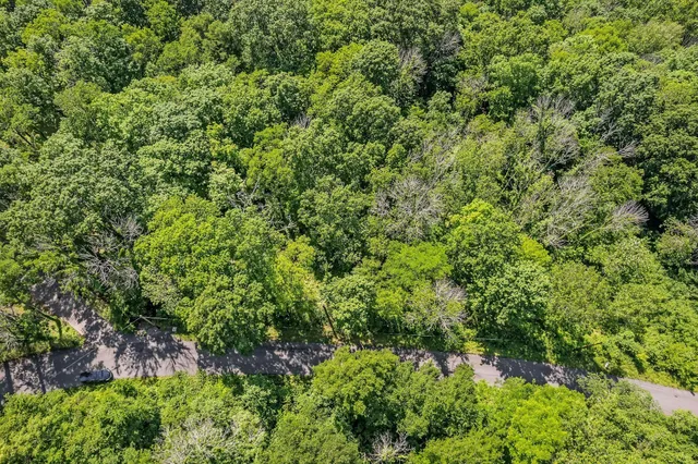 a view of a large yard with lots of bushes