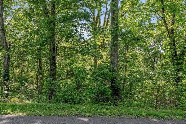 $62,500 | 0 Harbor Pointe Drive, Silver Point, TN 38582