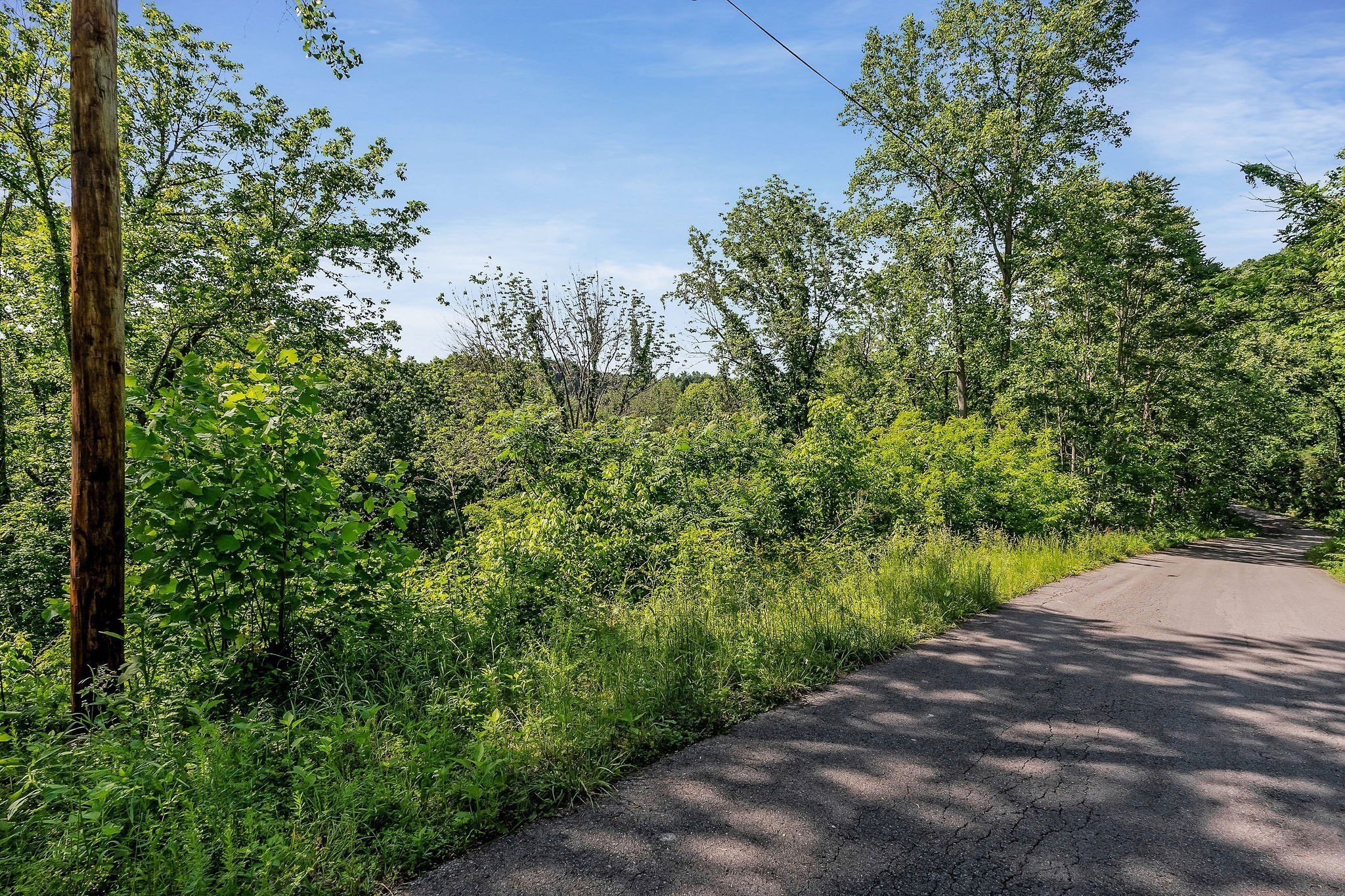 0 Harbor Pointe Drive Silver Point, TN 38582 - Photo 10 of 26 a view of a road with plants and a trees