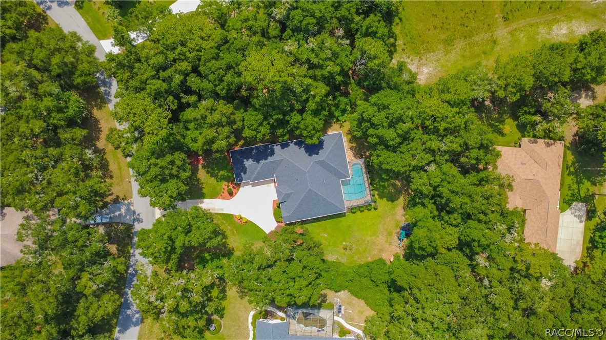 18976 Southwest 93rd Loop Dunnellon, FL 34432 - Photo 70 of 82
