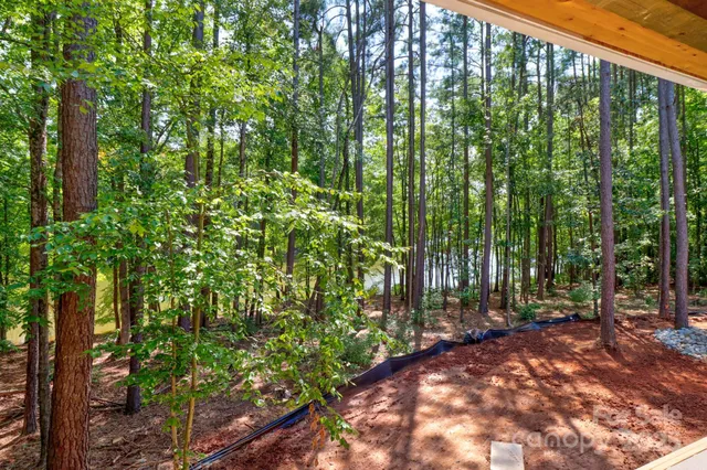 a view of outdoor space and trees