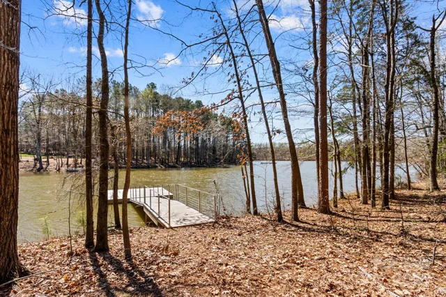 a view of a covered with trees