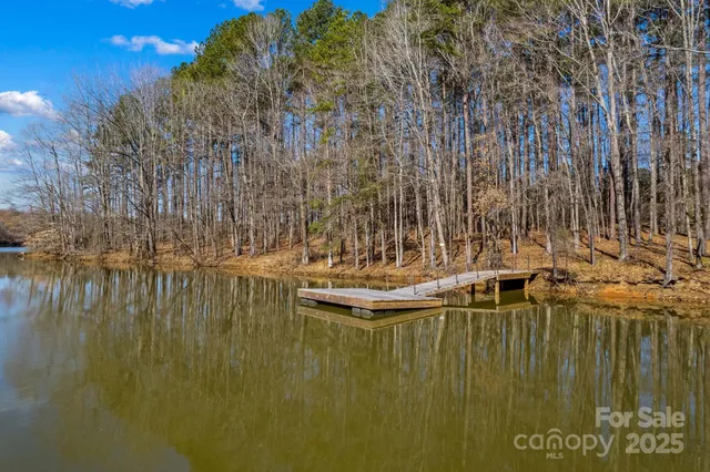 a view of swimming pool with tall trees