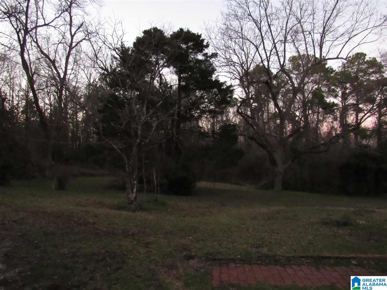 286 County Road 41 Clanton, AL 35046 - Photo 17 of 22