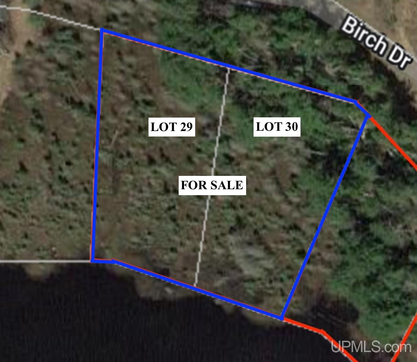 22004 South Olson Lake Road Michigamme, MI 49861 - Photo 2 of 14