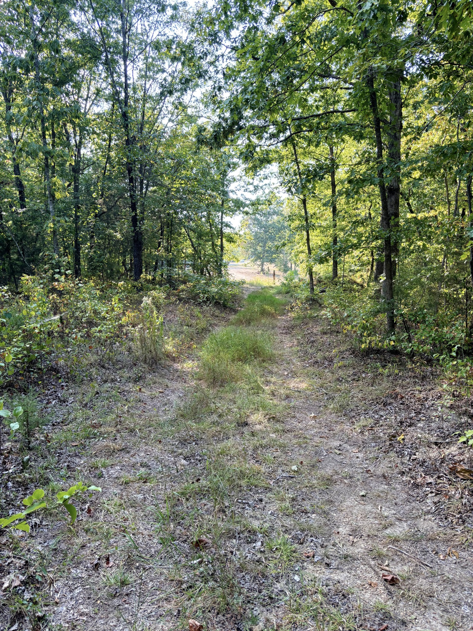 184 Garcia Road Linden, TN 37096 - Photo 13 of 27 Gallery Image 13