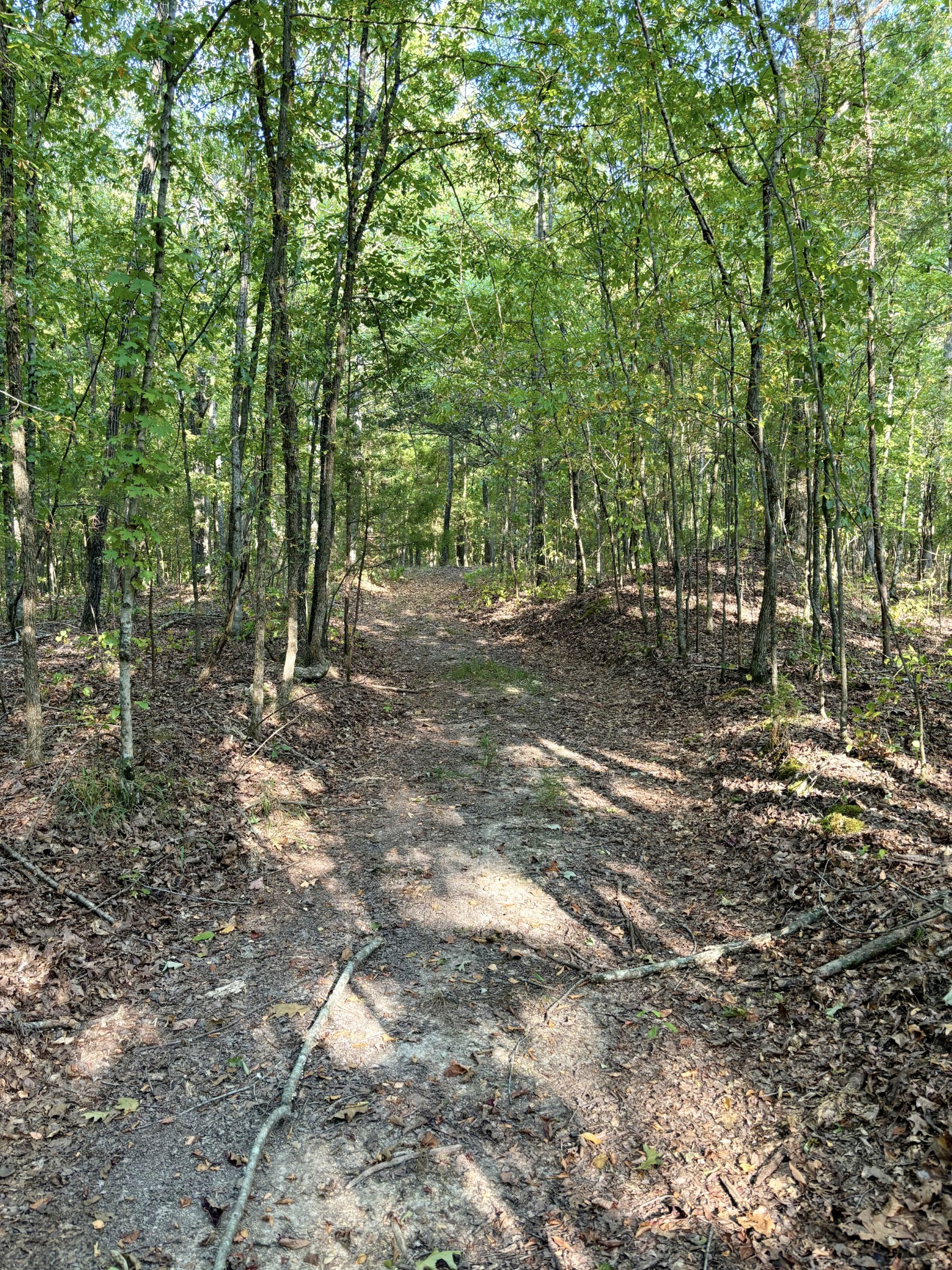184 Garcia Road Linden, TN 37096 - Photo 17 of 27 Gallery Image 17
