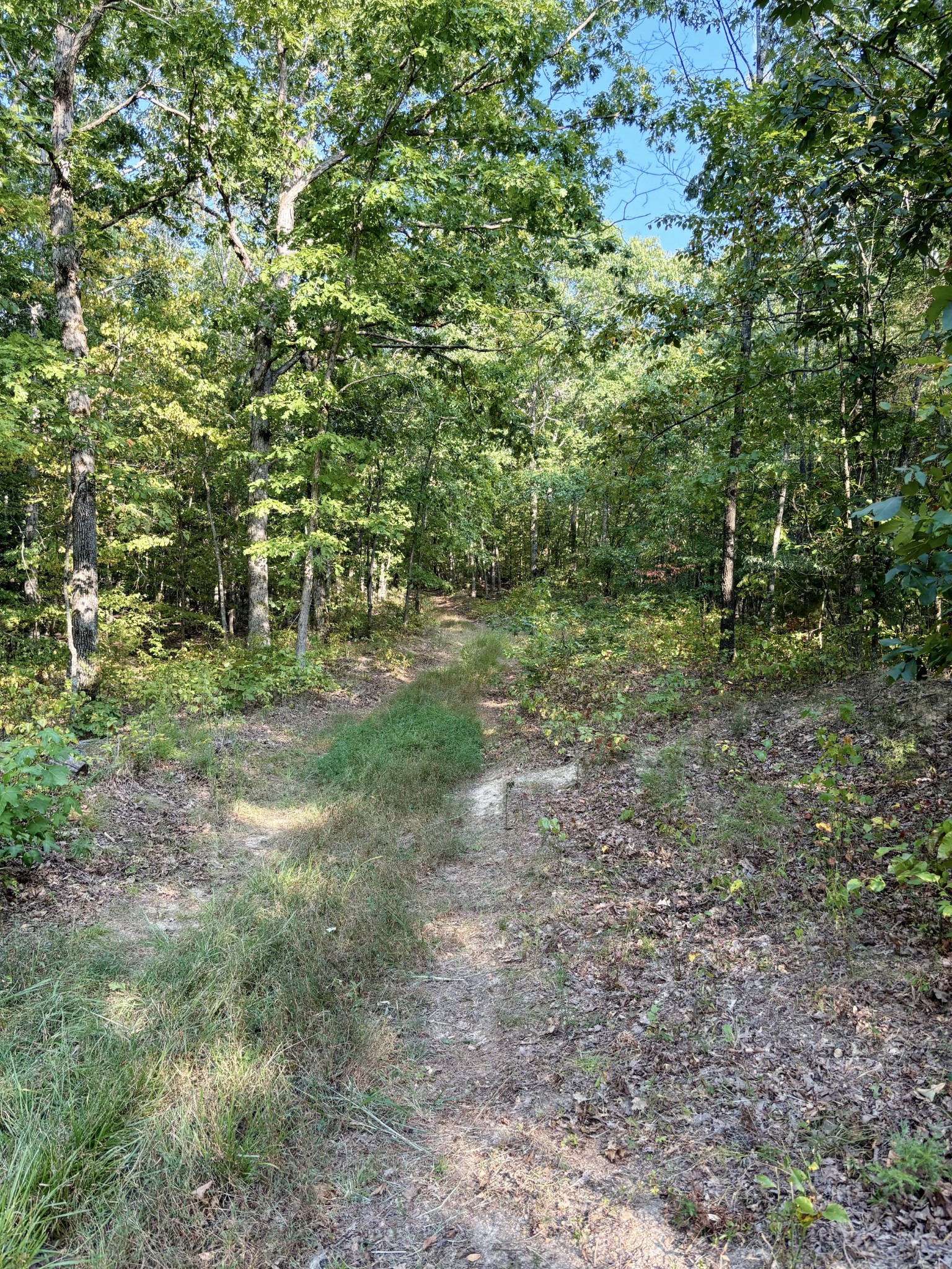 184 Garcia Road Linden, TN 37096 - Photo 19 of 27 Gallery Image 19