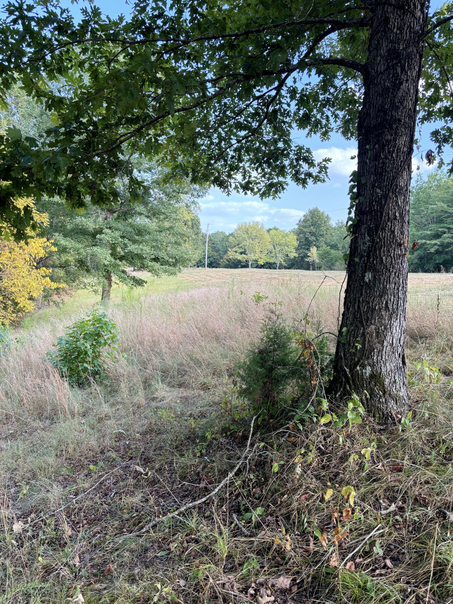 184 Garcia Road Linden, TN 37096 - Photo 2 of 27 Gallery Image 2