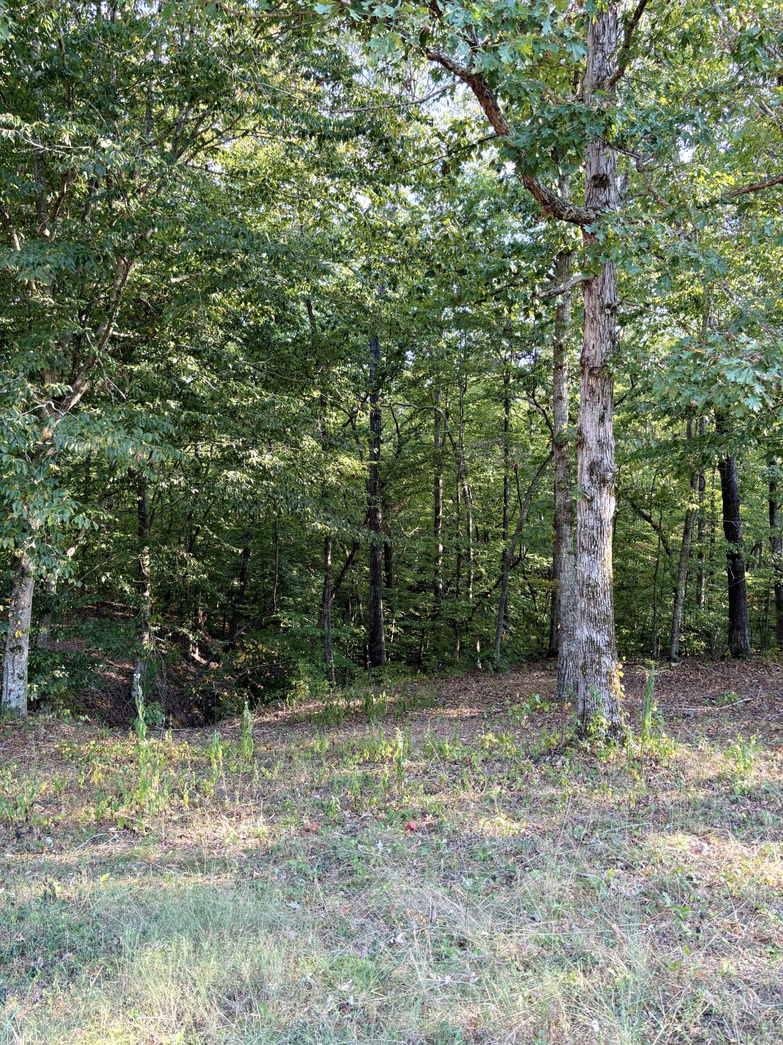 184 Garcia Road Linden, TN 37096 - Photo 22 of 27 Gallery Image 22