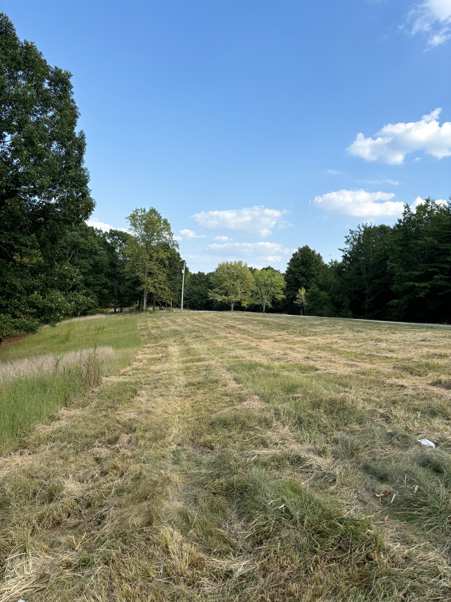 184 Garcia Road Linden, TN 37096 - Photo 4 of 27 Gallery Image 4