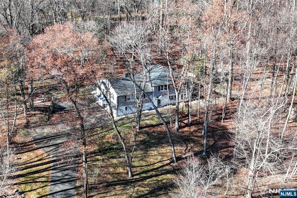28 Overlook Road Saddle River, NJ 07458 - Photo 6 of 35 a picture of tree