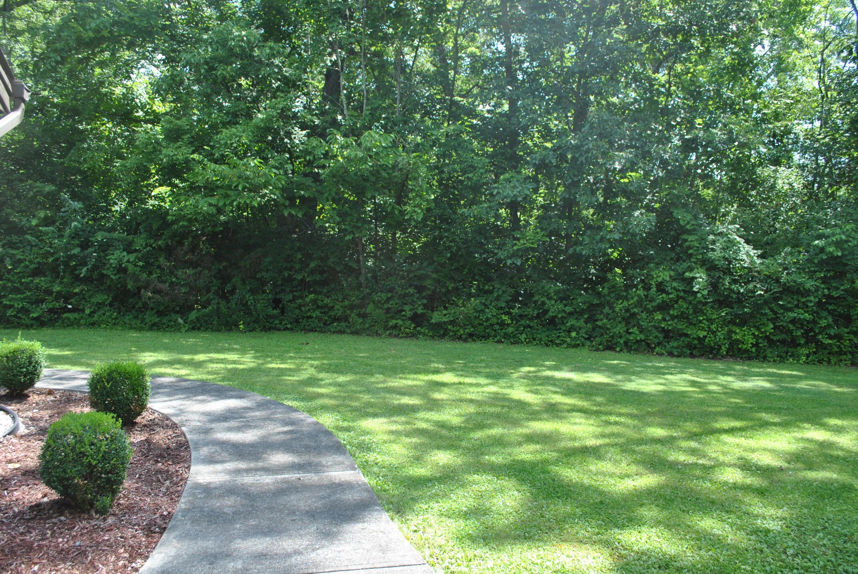 9083 Taylor Road Orient, OH 43146 - Photo 15 of 93 View From Front Porch