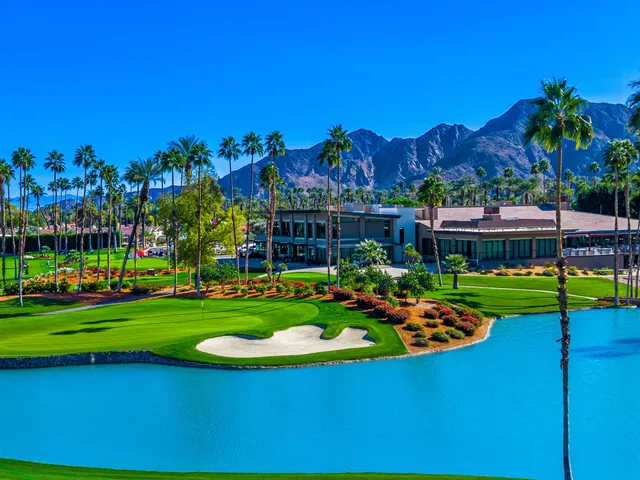 a view of a garden with a tree