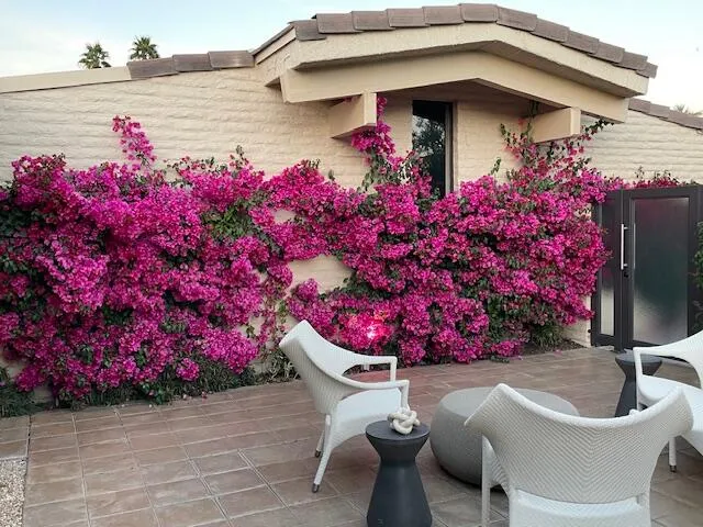 a view of a hallway with dining area