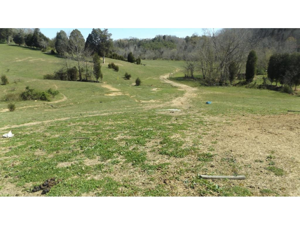 744 Berry Road Bulls Gap, TN 37711 - Photo 8 of 25 Photo 8