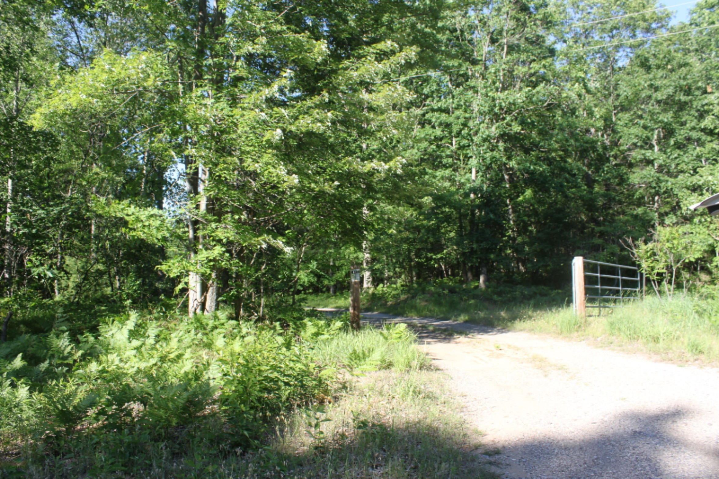 V/l Seaman Road Wellston, MI 49689 - Photo 13 of 15 IMG_8821