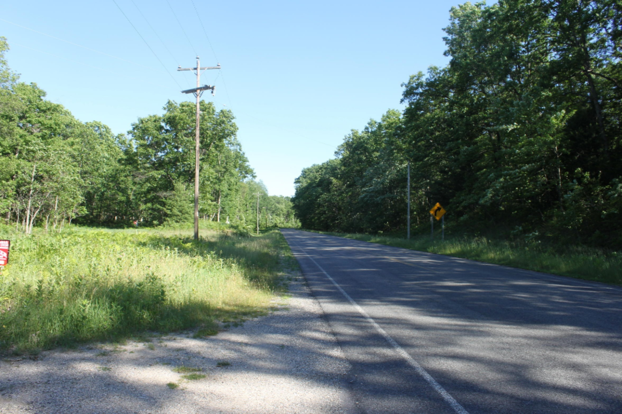 V/l Seaman Road Wellston, MI 49689 - Photo 14 of 15 IMG_8822