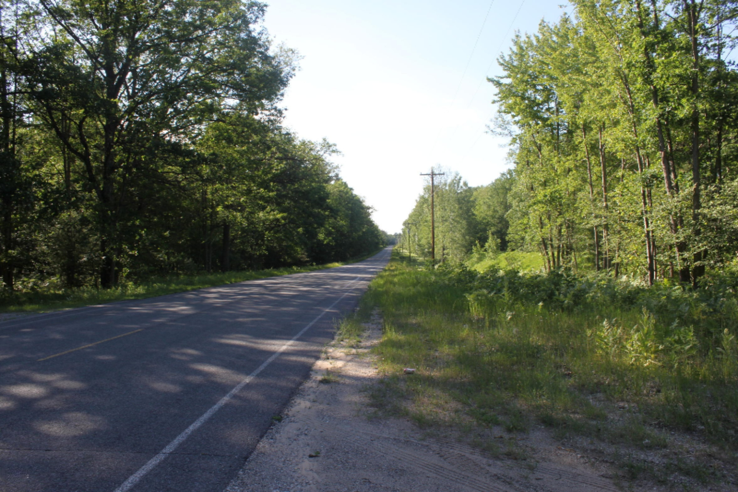 V/l Seaman Road Wellston, MI 49689 - Photo 15 of 15 IMG_8823