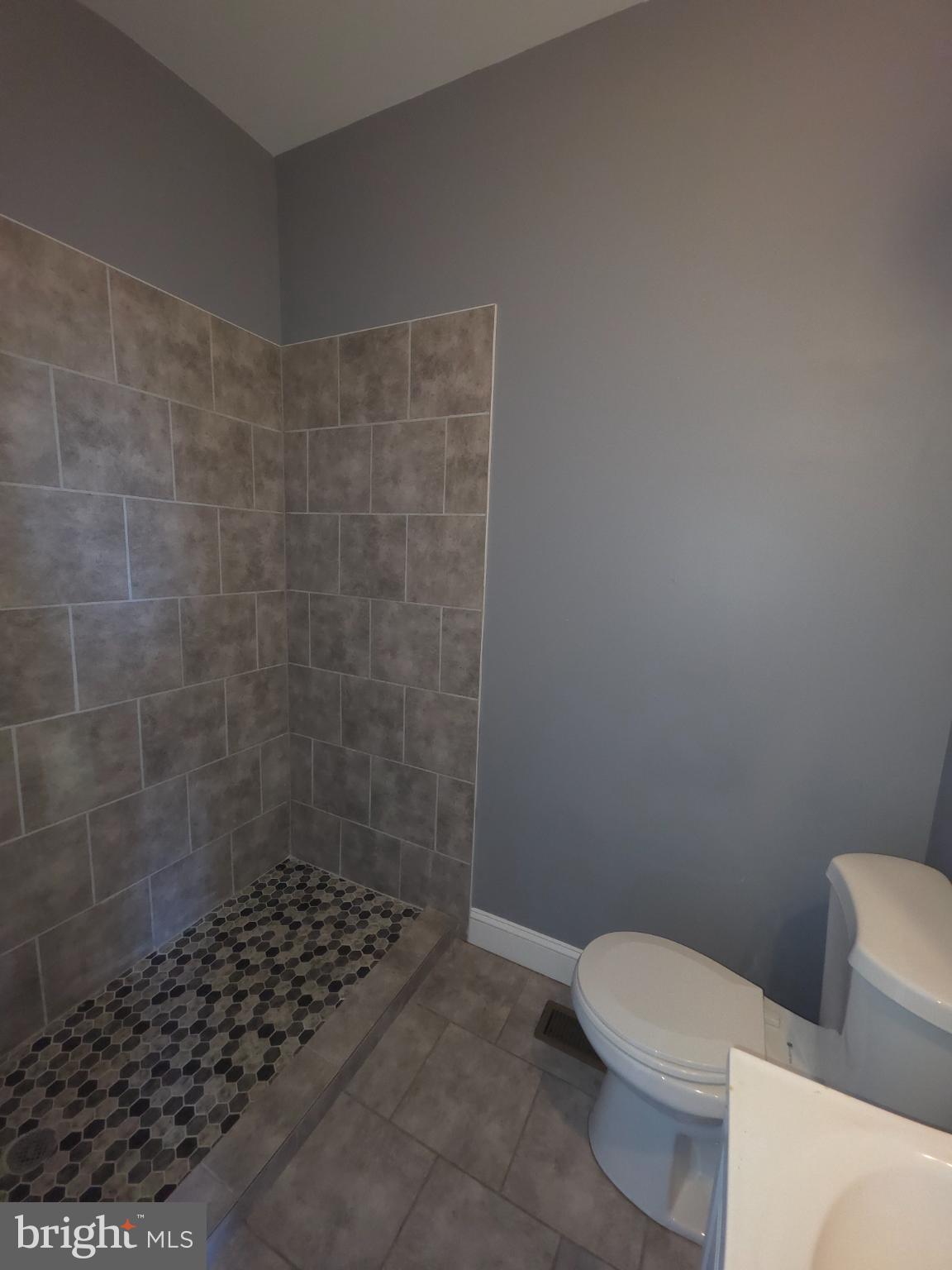 2617 East Preston Street Baltimore, MD 21213 - Photo 26 of 30 a bathroom with a toilet and a shower