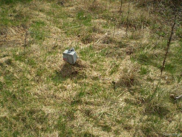 21482 Gill Road Farmington, MI 48335 - Photo 2 of 10 P1010059.JPG