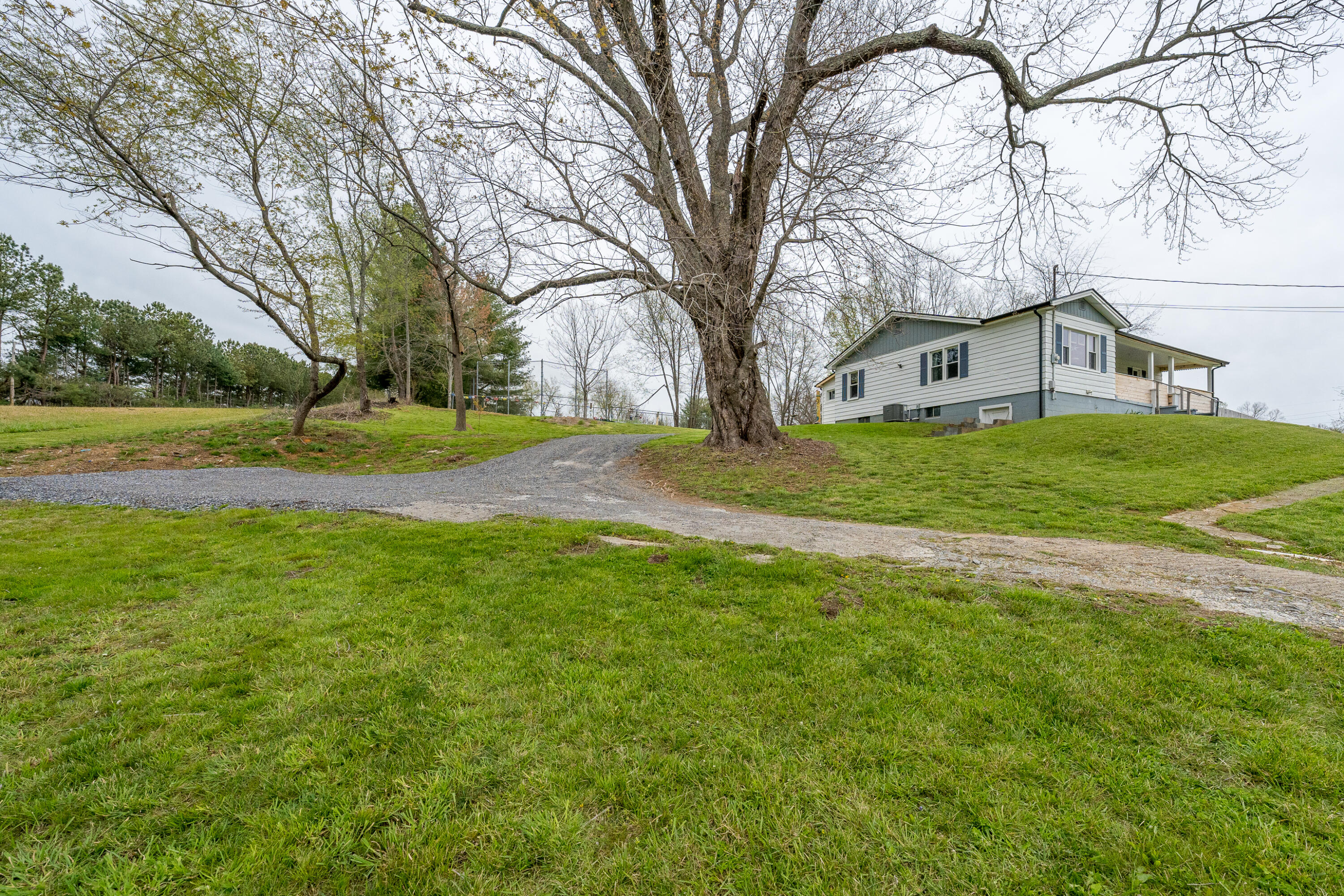 161 Mayberry Road Jonesborough, TN 37659 - Photo 25 of 44 161 Mayberry Rd (25 of 45)