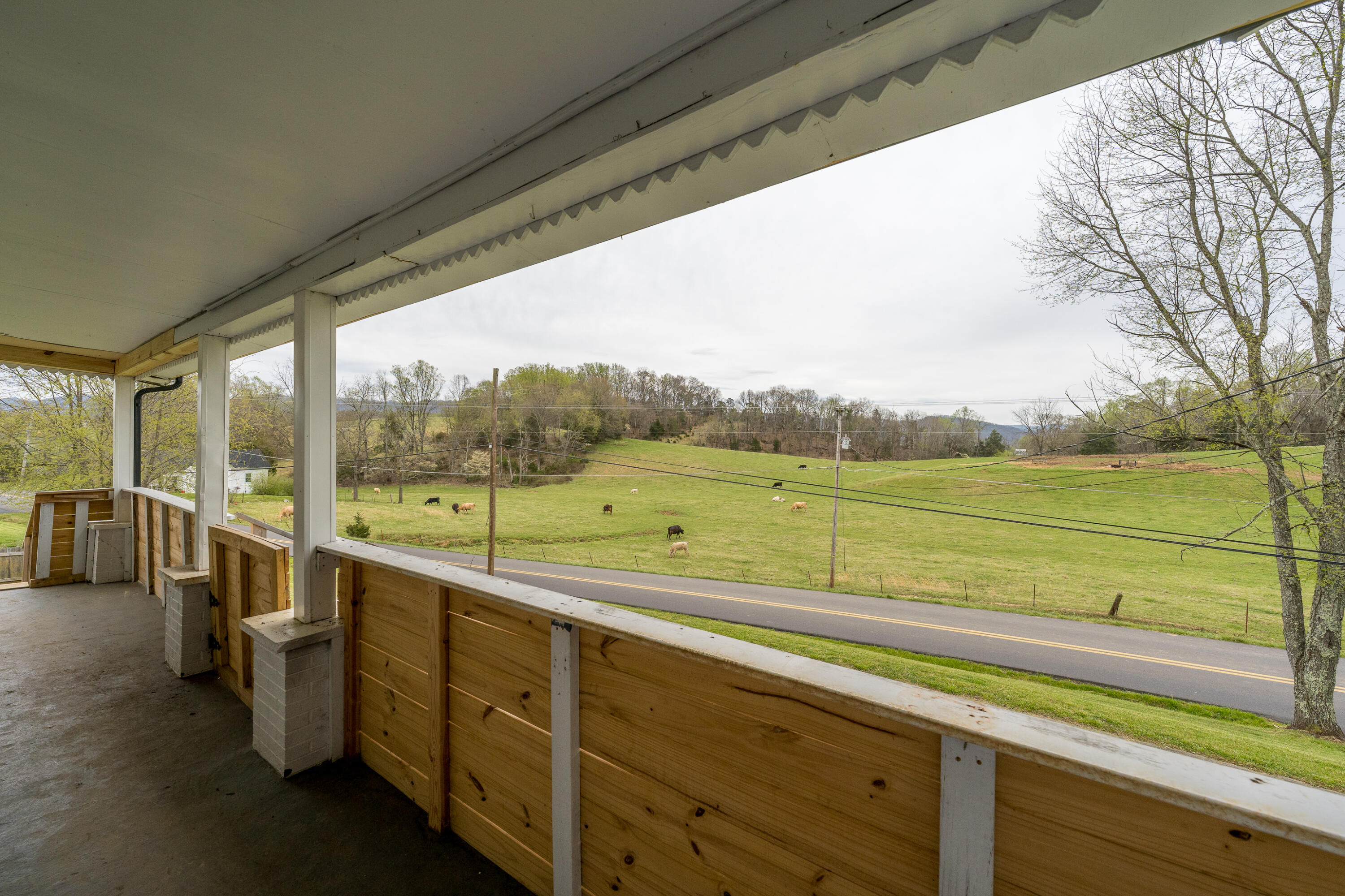 161 Mayberry Road Jonesborough, TN 37659 - Photo 3 of 44 161 Mayberry Rd (3 of 45)