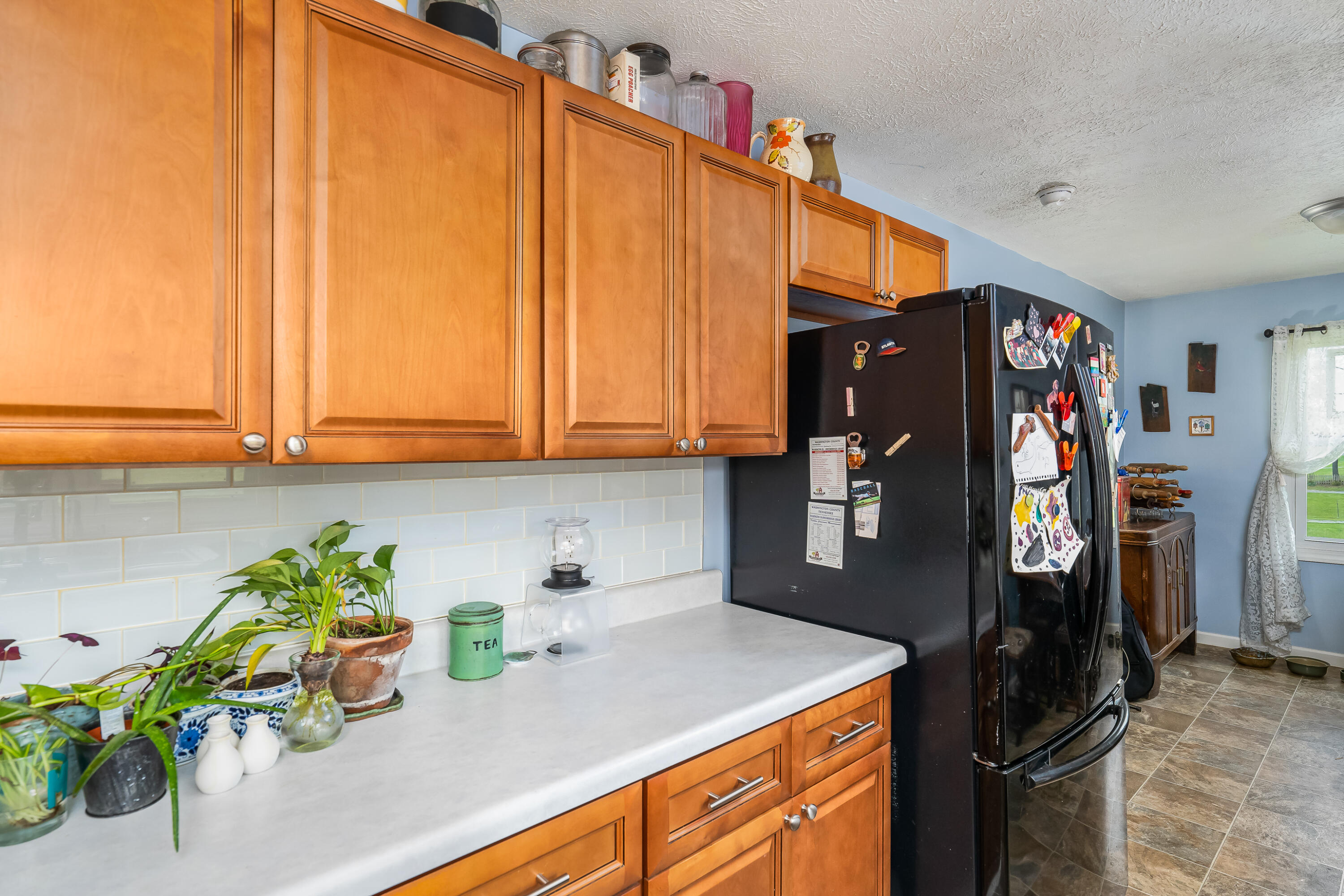 161 Mayberry Road Jonesborough, TN 37659 - Photo 34 of 44 161 Mayberry Rd (34 of 45)