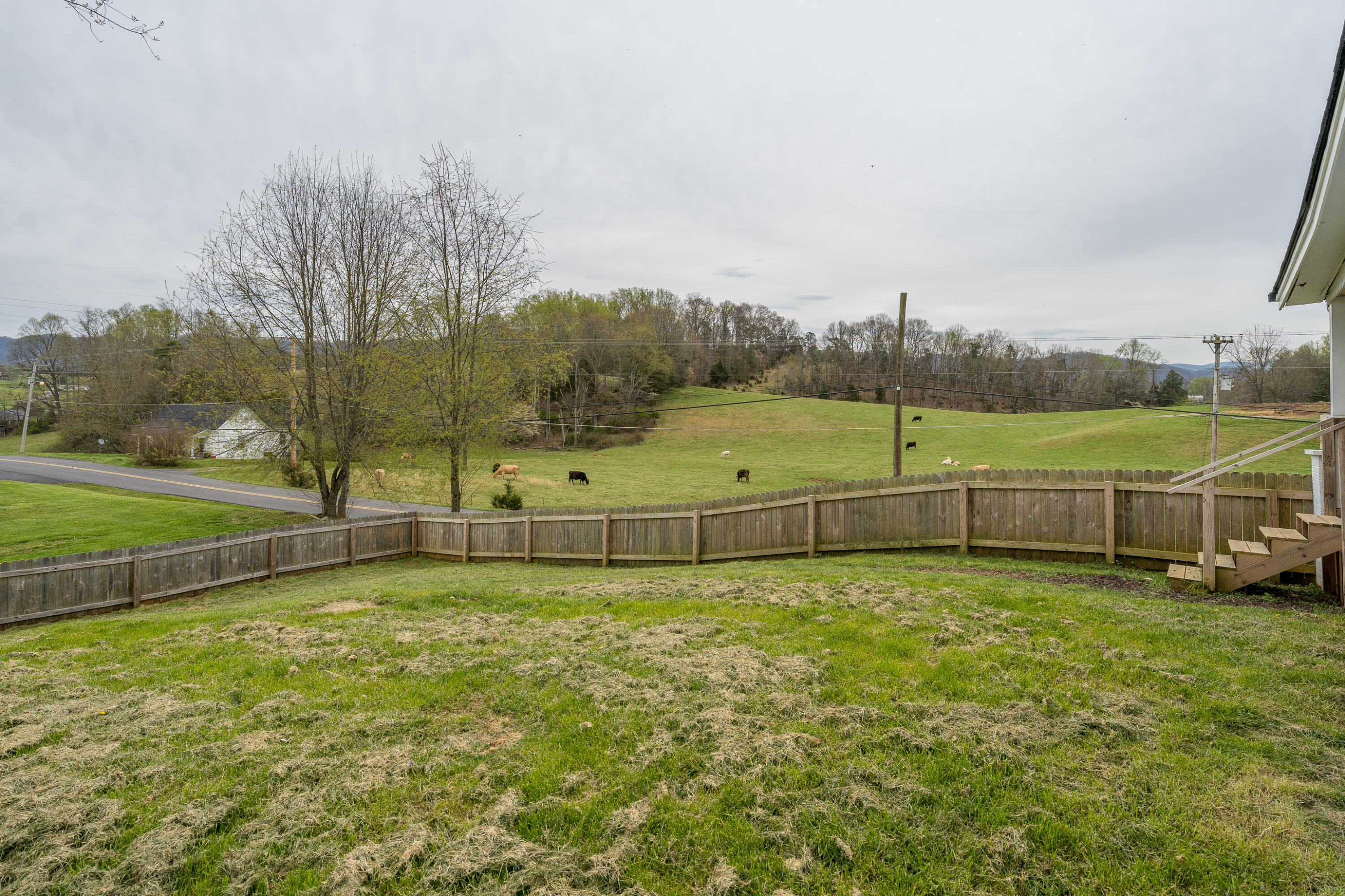 161 Mayberry Road Jonesborough, TN 37659 - Photo 5 of 44 161 Mayberry Rd (5 of 45)