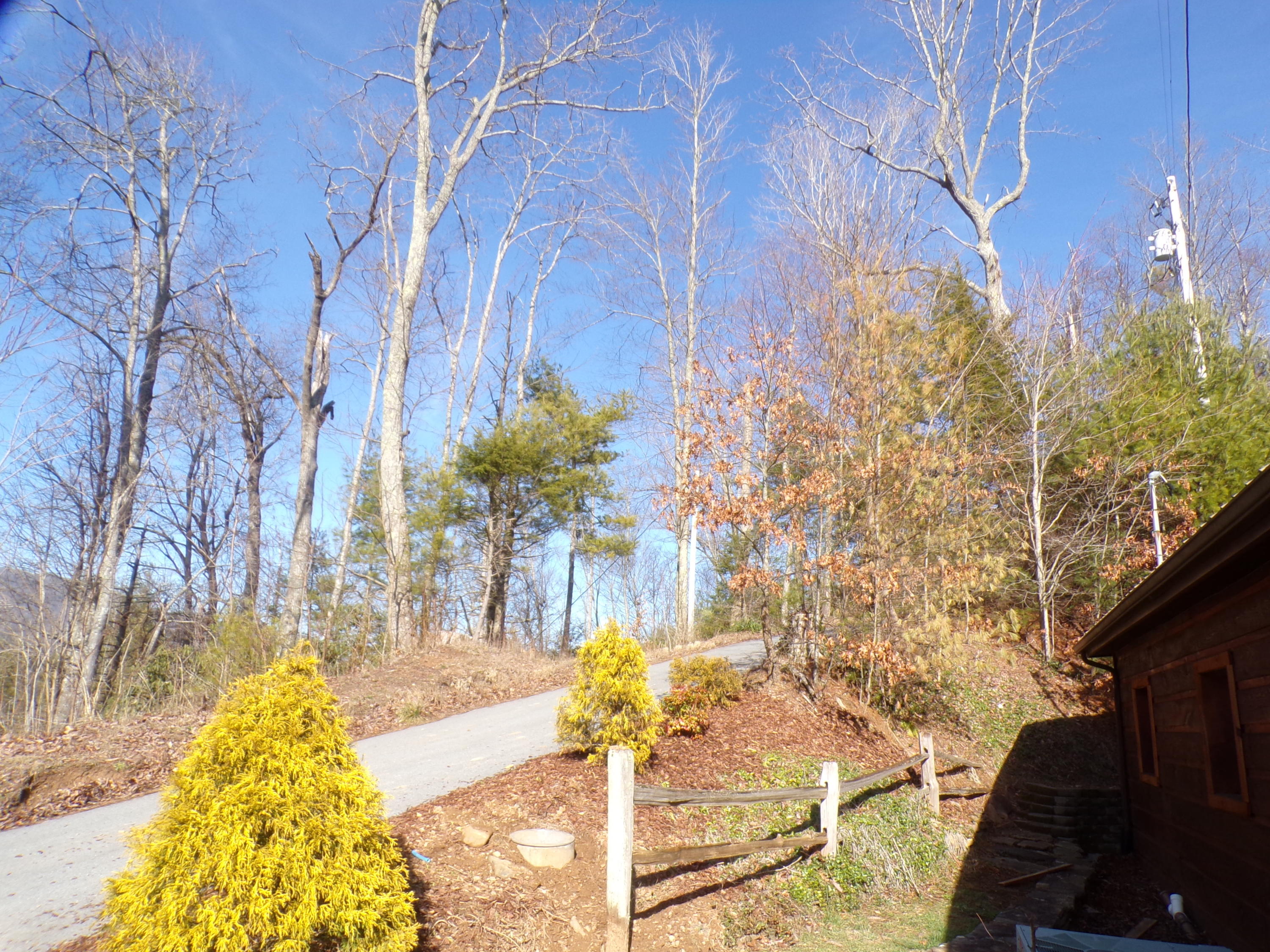 582 Cove Ridge Circle Butler, TN 37640 - Photo 29 of 34 Professionally Lanscaped