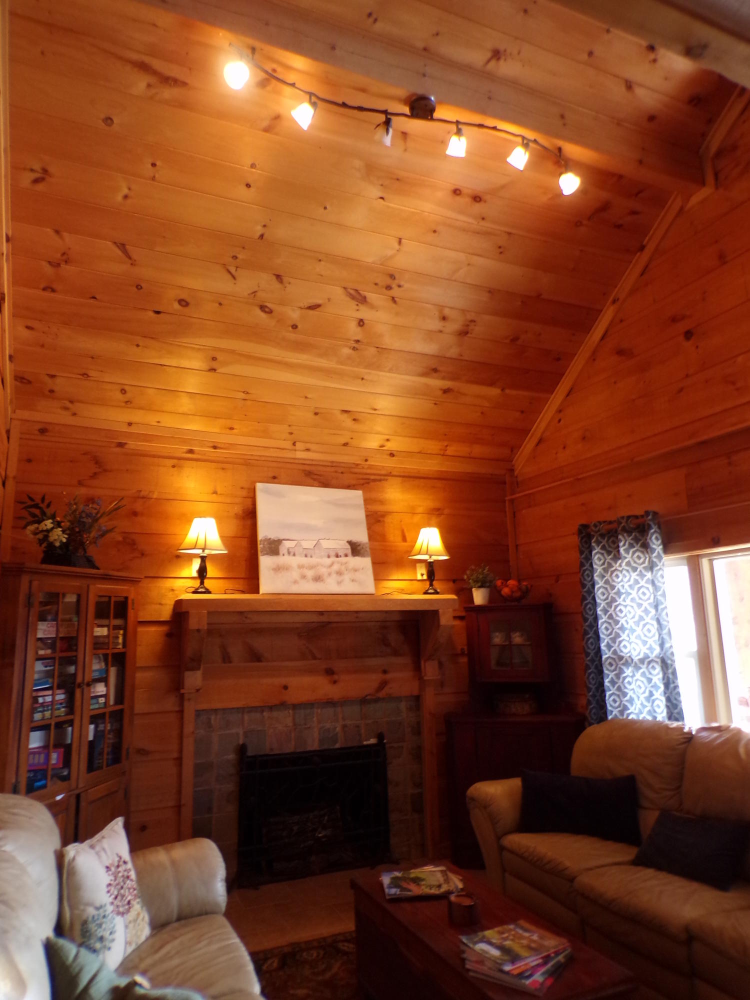 582 Cove Ridge Circle Butler, TN 37640 - Photo 6 of 34 Vaulted Ceiling
