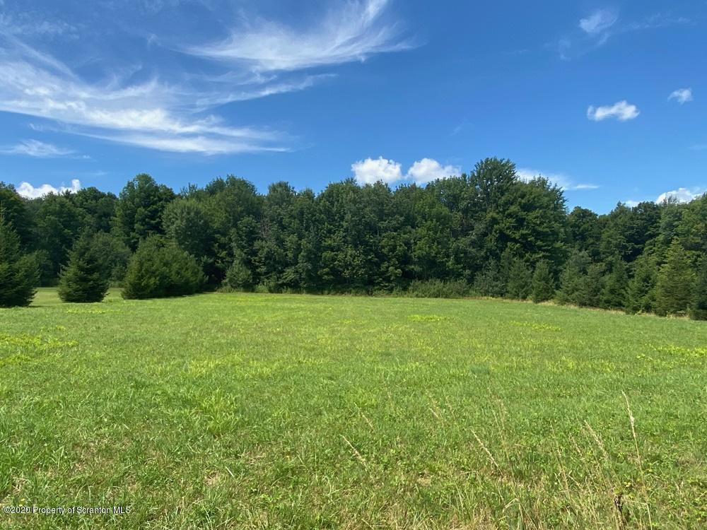 Lot 3 Spring Hill Road Sterling, PA 18463 - Photo 1 of 4 a view of a big yard with a large tree