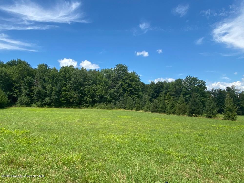 Lot 3 Spring Hill Road Sterling, PA 18463 - Photo 2 of 4 a view of field with trees in the background