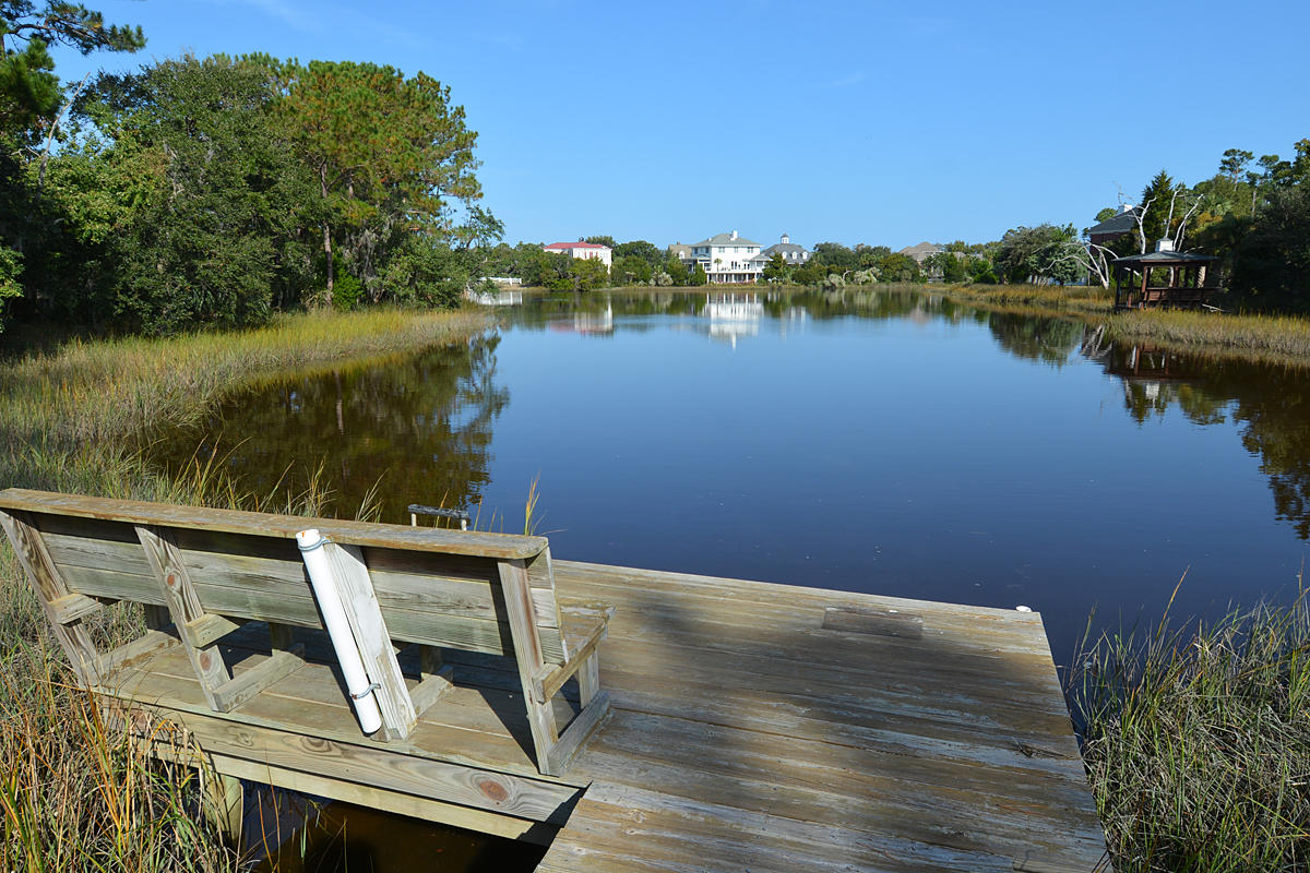 1336 Old Brickyard Road Mount Pleasant, SC 29466 - Photo 38 of 56 1336_old_brickyard_dock_04_MLS