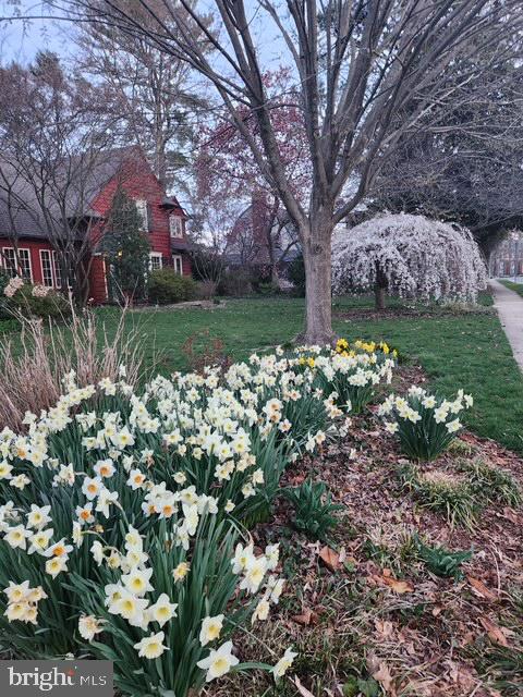 216 Orchard Road Newark, DE 19711 - Photo 82 of 86