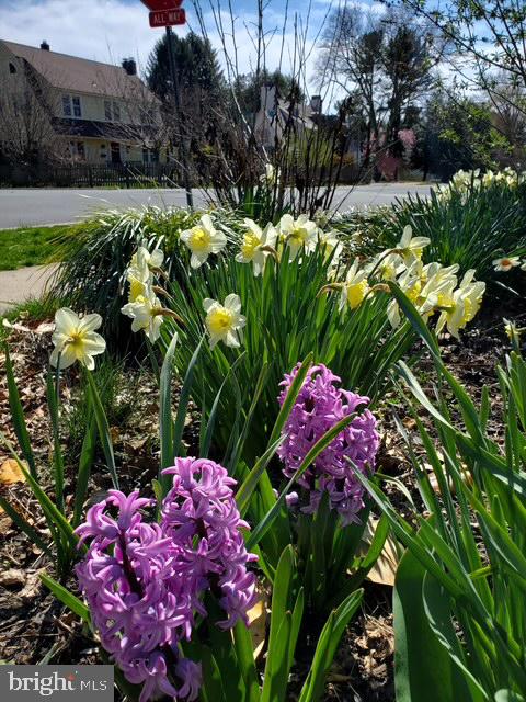 216 Orchard Road Newark, DE 19711 - Photo 83 of 86