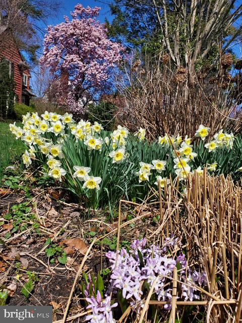 216 Orchard Road Newark, DE 19711 - Photo 84 of 86