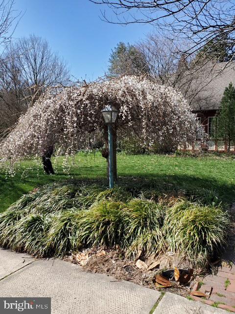 216 Orchard Road Newark, DE 19711 - Photo 85 of 86