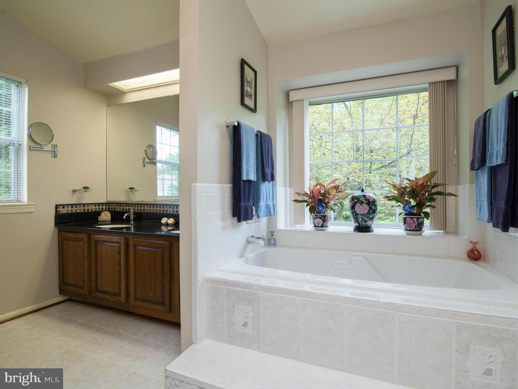 151 Peyton Road Sterling, VA 20165 - Photo 17 of 30 Enjoy A Relaxing Moment in the Soaking Tub
